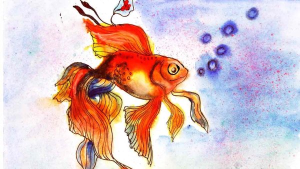 Золотая рыбка красками