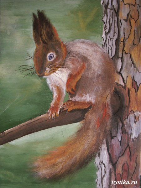 Рисунки животных гуашью