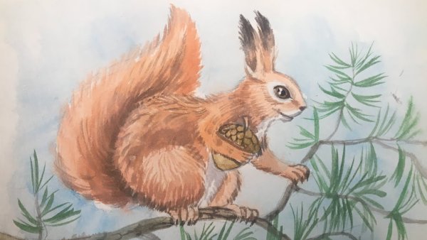 Белочка красками