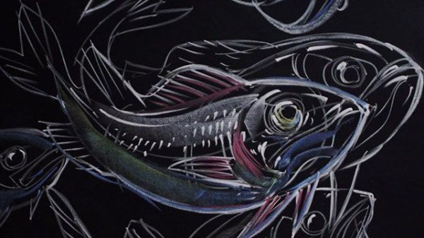 Рыбы пастелью на черной бумаге