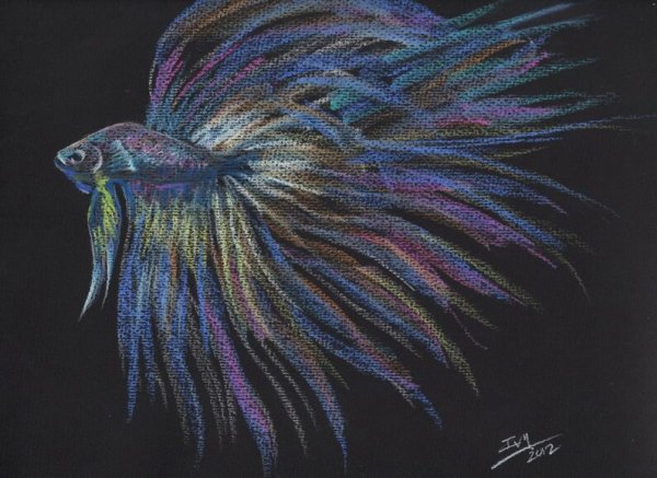 Пастель рисование рыба