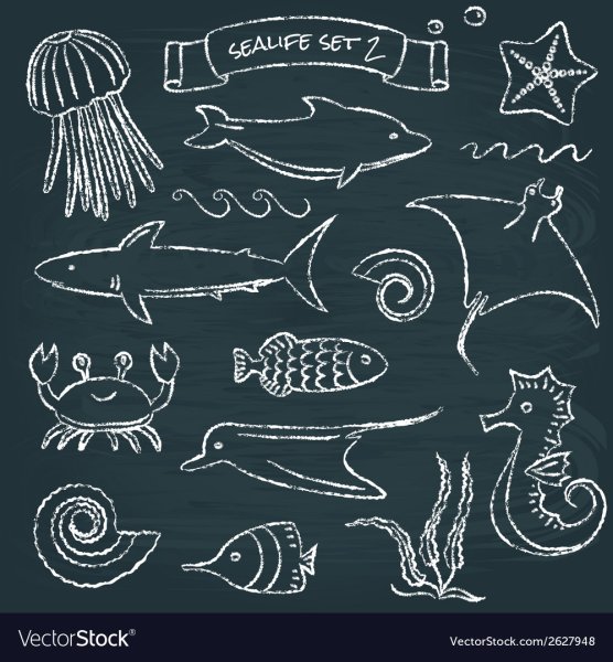 Рисование рыбки в старшей группе