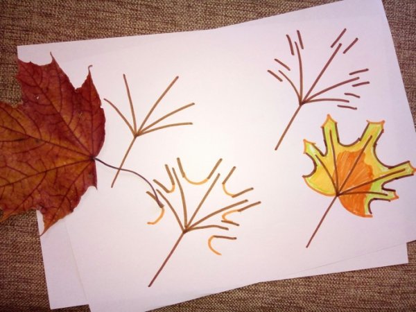 Рисование в подготовительной группе листья клена