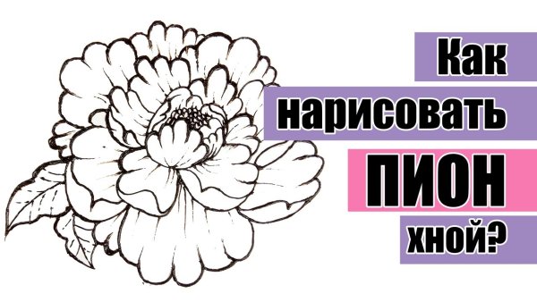 Пионы рисунок хной поэтапно