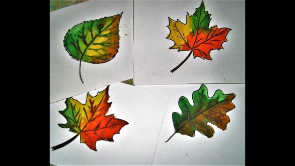 Рисование осенних листьев