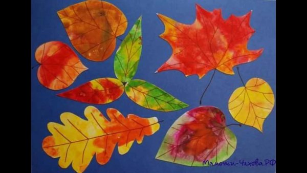 Осенние листья изо