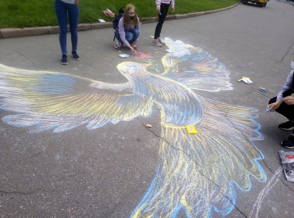 Голубь на асфальте рисунок