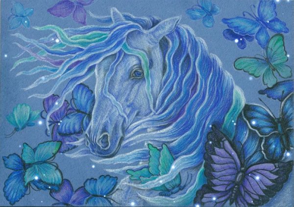 Граттаж лошадь