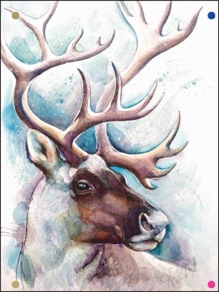 Олень акварелью