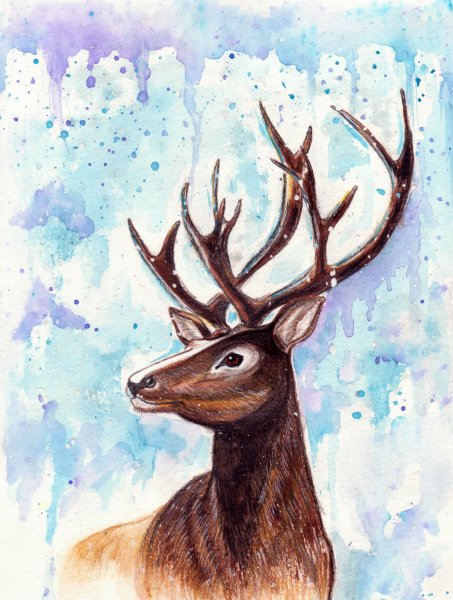 Олень акварелью