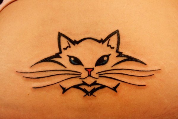 Тату хной котенок