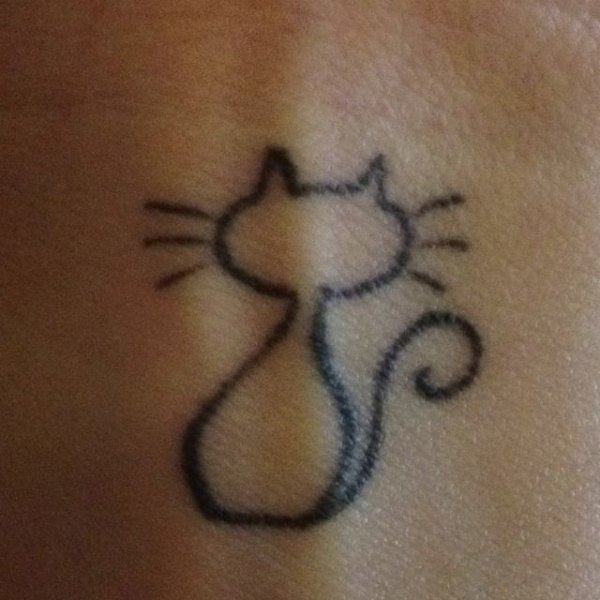 Котенок хной