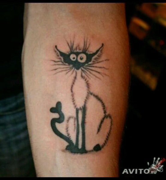 Тату смешной кот