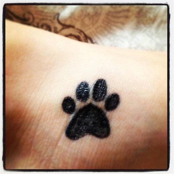 Тату хной собачка