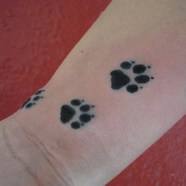 Тату кошачьи лапки