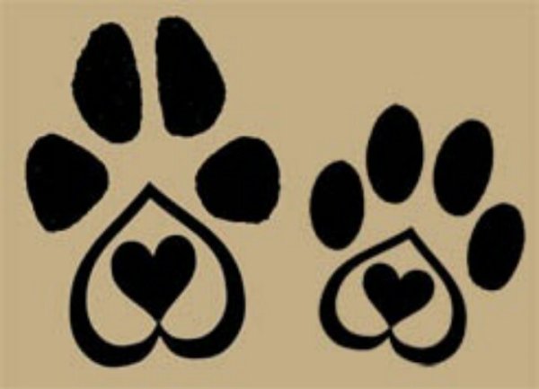 Кошачьи лапки следы