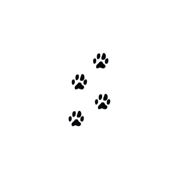 Тату лапка собаки эскиз