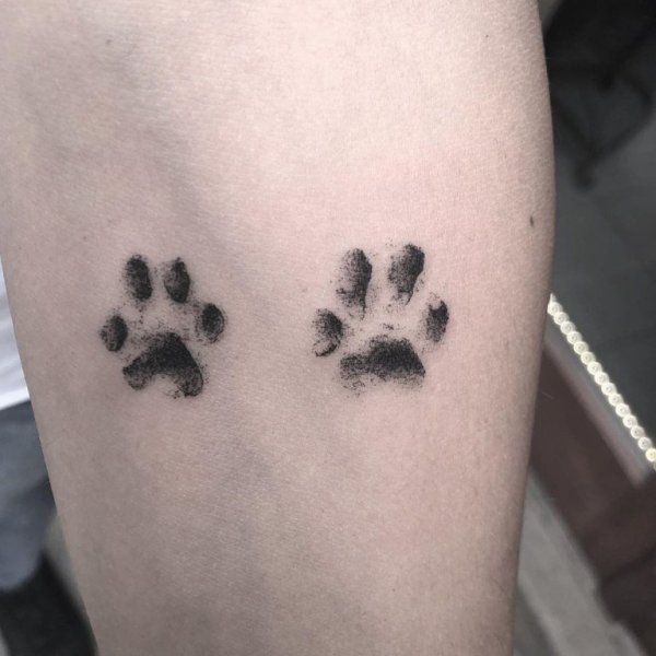 Тату кошачьи лапки