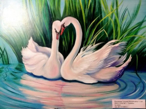 Лебедь цветными карандашами