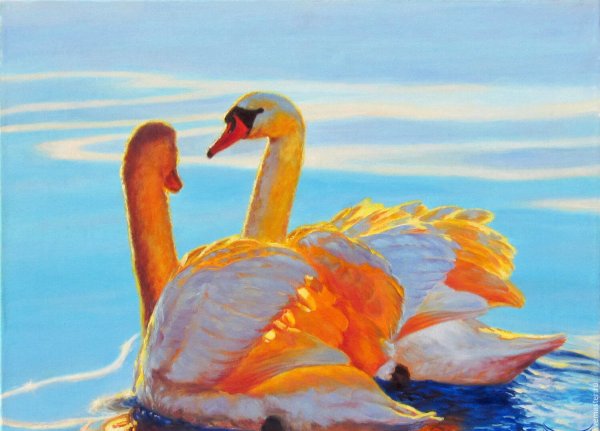 Белые лебеди гуашь