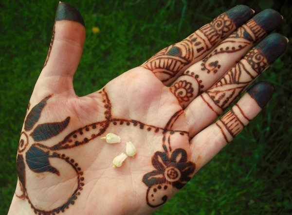 Животное нарисовать хной