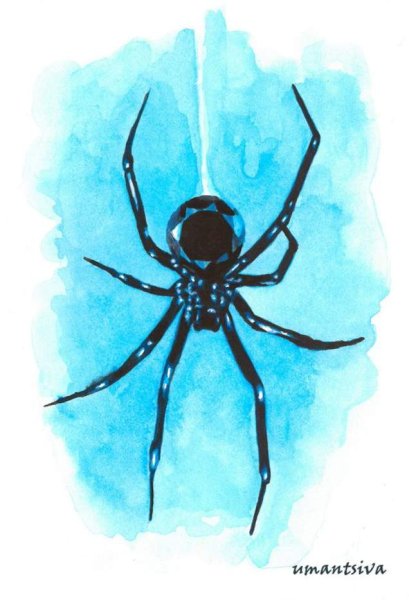 Паук рисунок