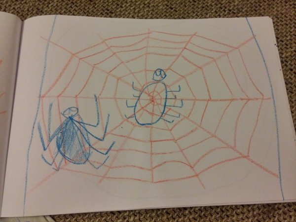 Рисование паук на паутине старшая группа