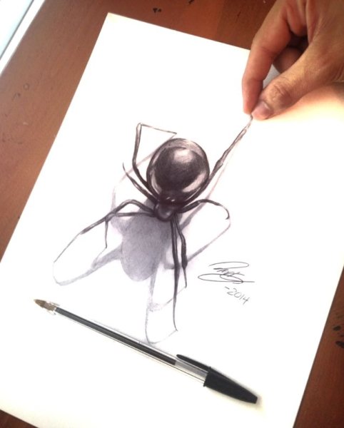 Изо украшение и реальность