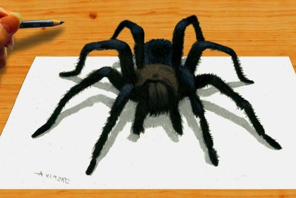 Паутина фломастерами