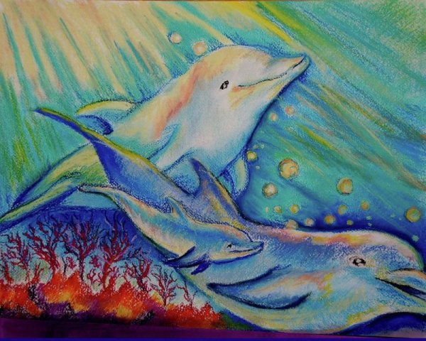 Рисунок дельфина красками