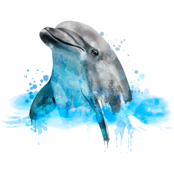 Рисунки цветными карандашами дельфины