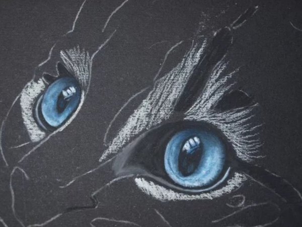 Рисовать пастелью на черном фоне