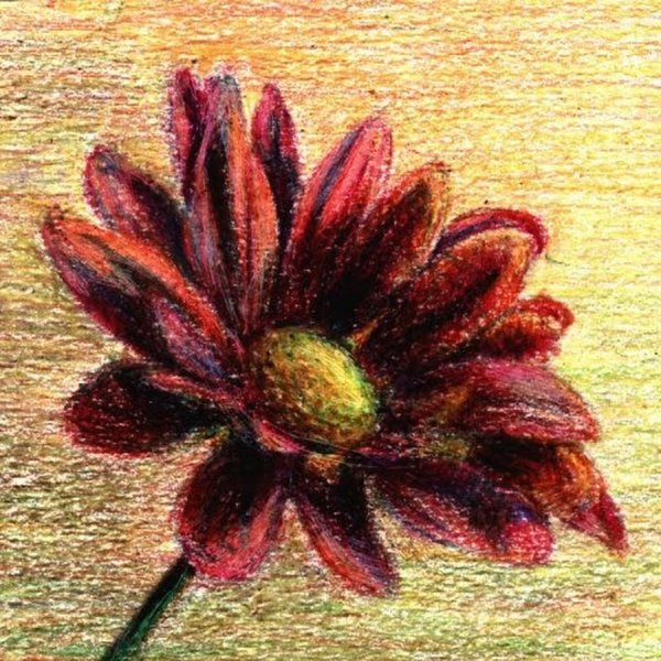 Цветы восковыми мелками