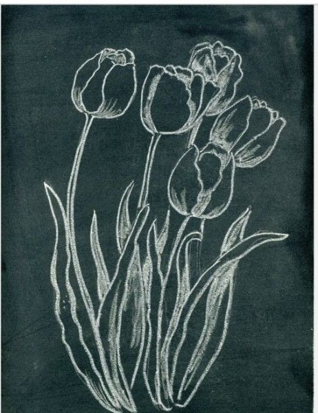 Тюльпаны мелом на доске