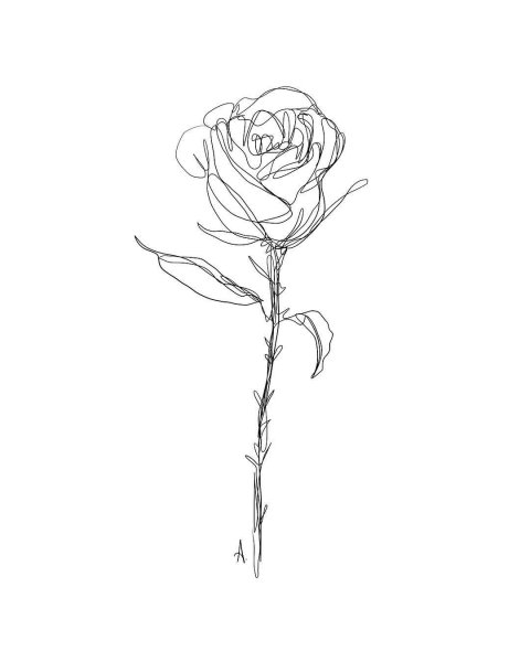 Роза одной линией