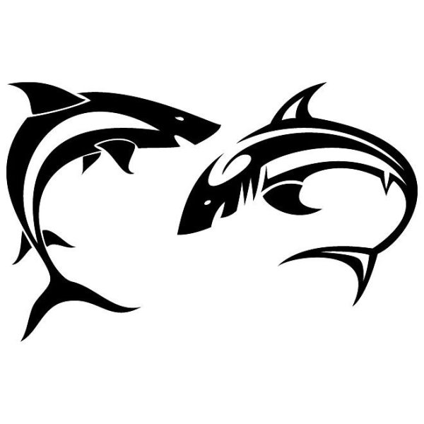 Акула трафарет рисунка