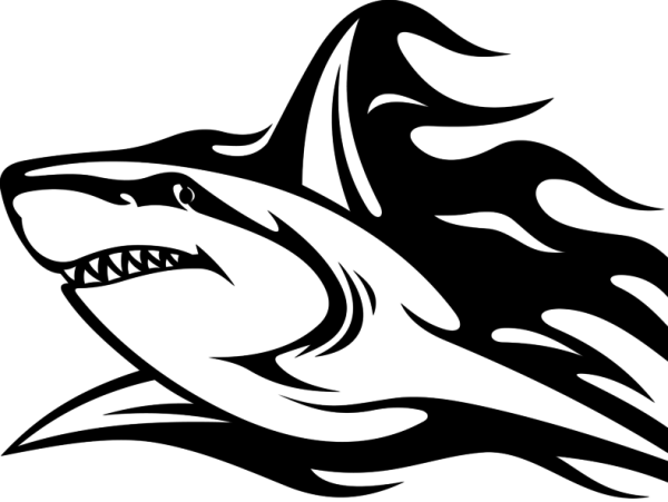 Акула тату на белом фоне