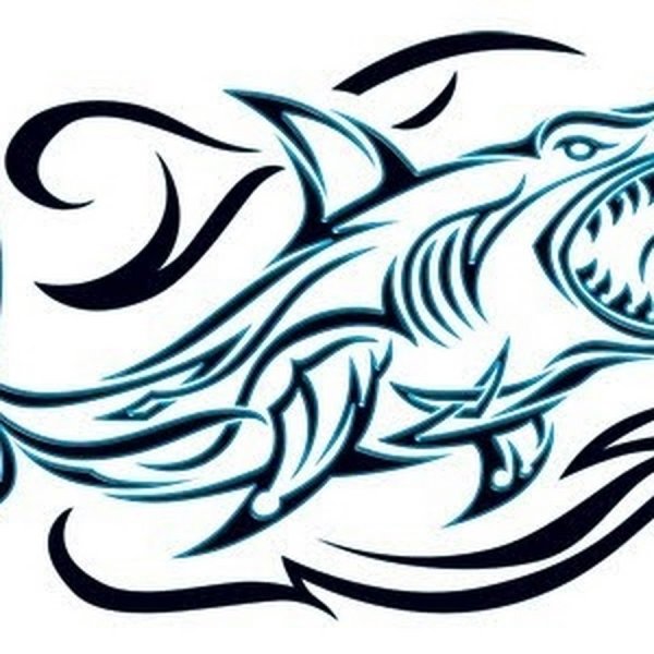 Кельтские узоры и акула тату