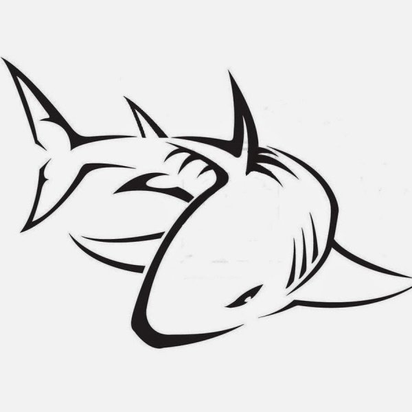 Акула набросок