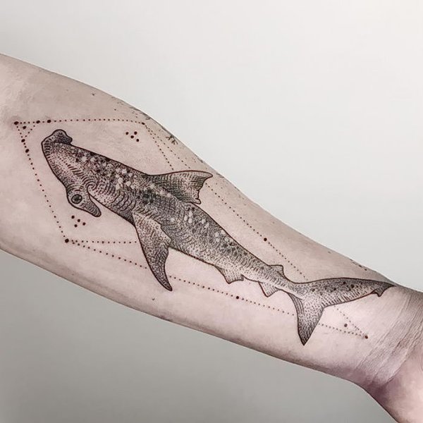 Эскизы тату акула на руке