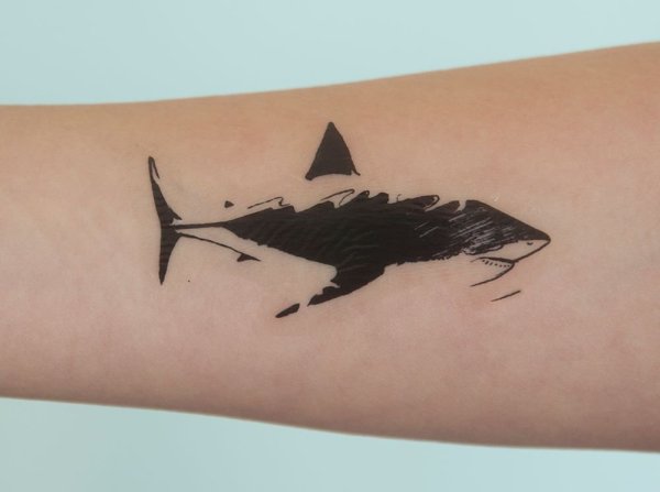 Тату акула Минимализм