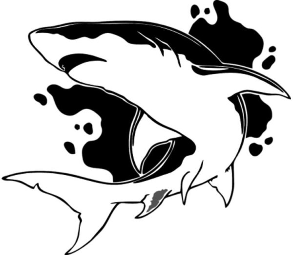 Акула рисунок тату