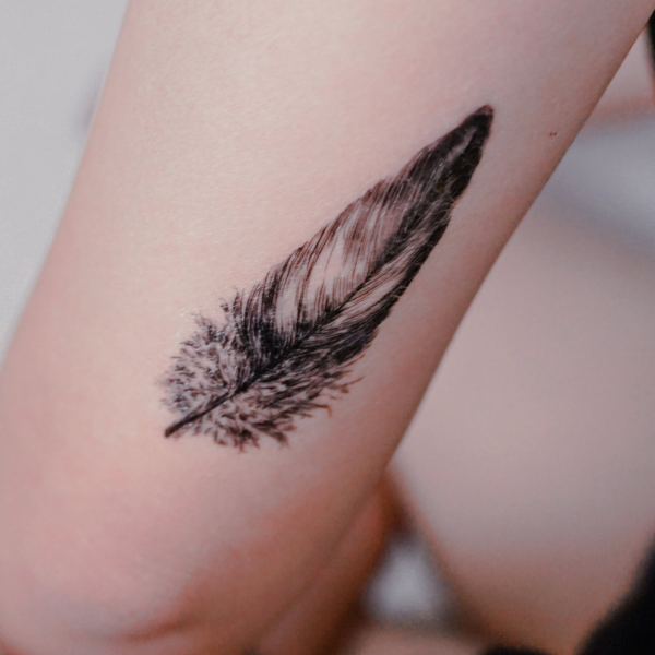 Перо из хны