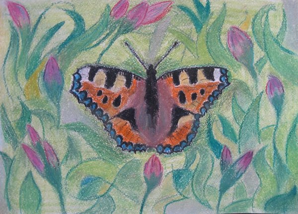 Бабочка мелками