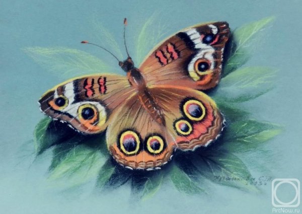 Бабочки пастелью таткина