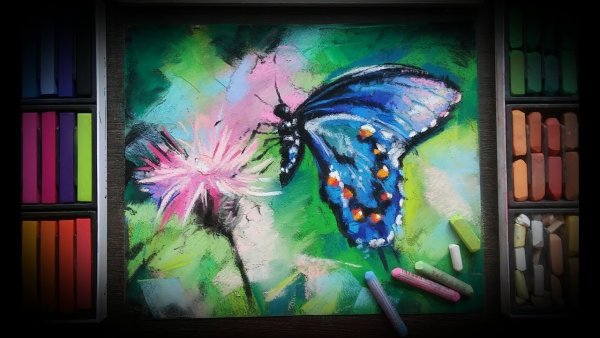 Бабочки пастелью сухой