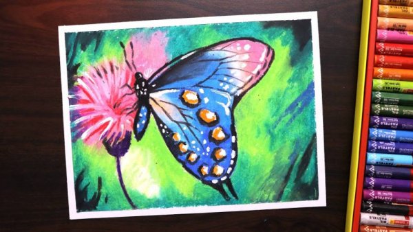 Рисование пастелью для детей бабочка
