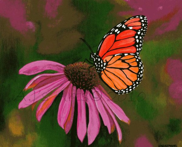 Бабочки пастелью сухой