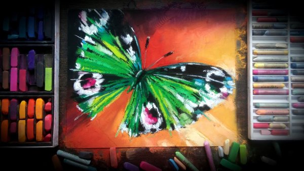 Бабочка масляной пастелью