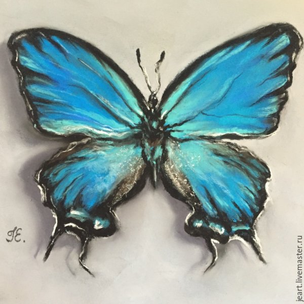 Бабочка акварельными карандашами